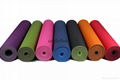 eco-friendly TPE yoga mat 1