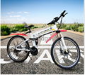 mountain folding electric bike 3