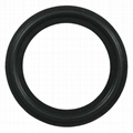 triclover gaskets