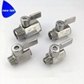 G BSPP Threaded SUS304 mini ball valve stainless lever handle