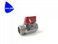 Stainless Steel (316) Mini Ball Val MXF BSP Threaded