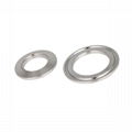 Sanitary Stainless Steel Tri Clamp Cutout Cap