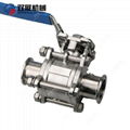 Sanitary SS Tri Clamp Manual Encapsulated Ball Valve PTFE  5