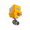 Electric Motor-Driven On/Off Stainless Steel 2-pc Ball Valves