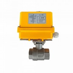 Electric Motor-Driven On/Off Stainless Steel 2-pc Ball Valves