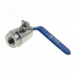 Stainless Steel High-Pressure Compact Threaded Ball Va  es