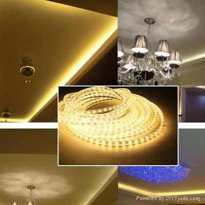 LED Strip 5