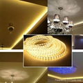 LED Strip 5