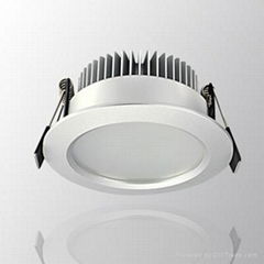 LED Down Light