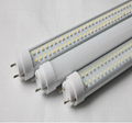 LED T8 Tube 2