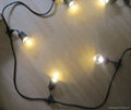 LED Strung Party Light 1