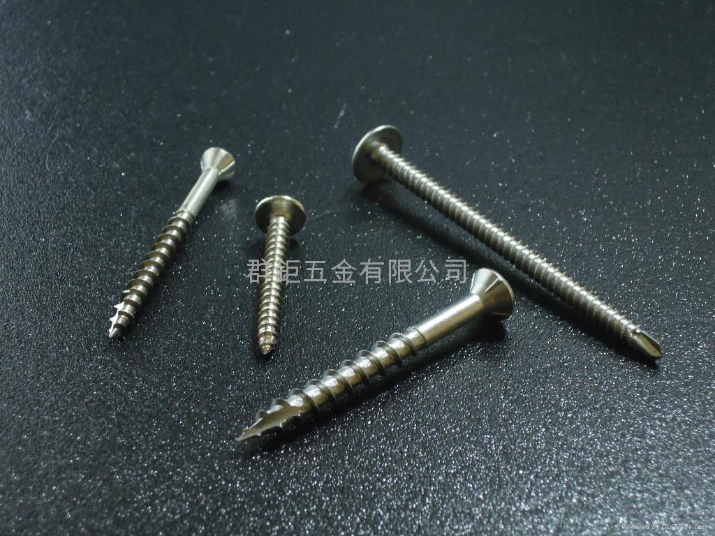 Stainless Steel screws