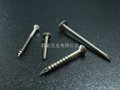 Stainless Steel screws