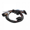 Automobile fuse holder harness 