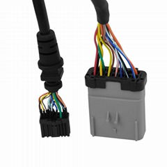 Fleet management wiring harness