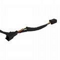 Fleet management wiring harness 3