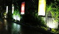 Solar garden lights with energy saving and home decorating 3