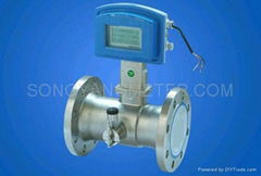 Gas Turbine Meter