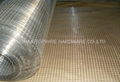 Galvanized welded wire mesh roll 1