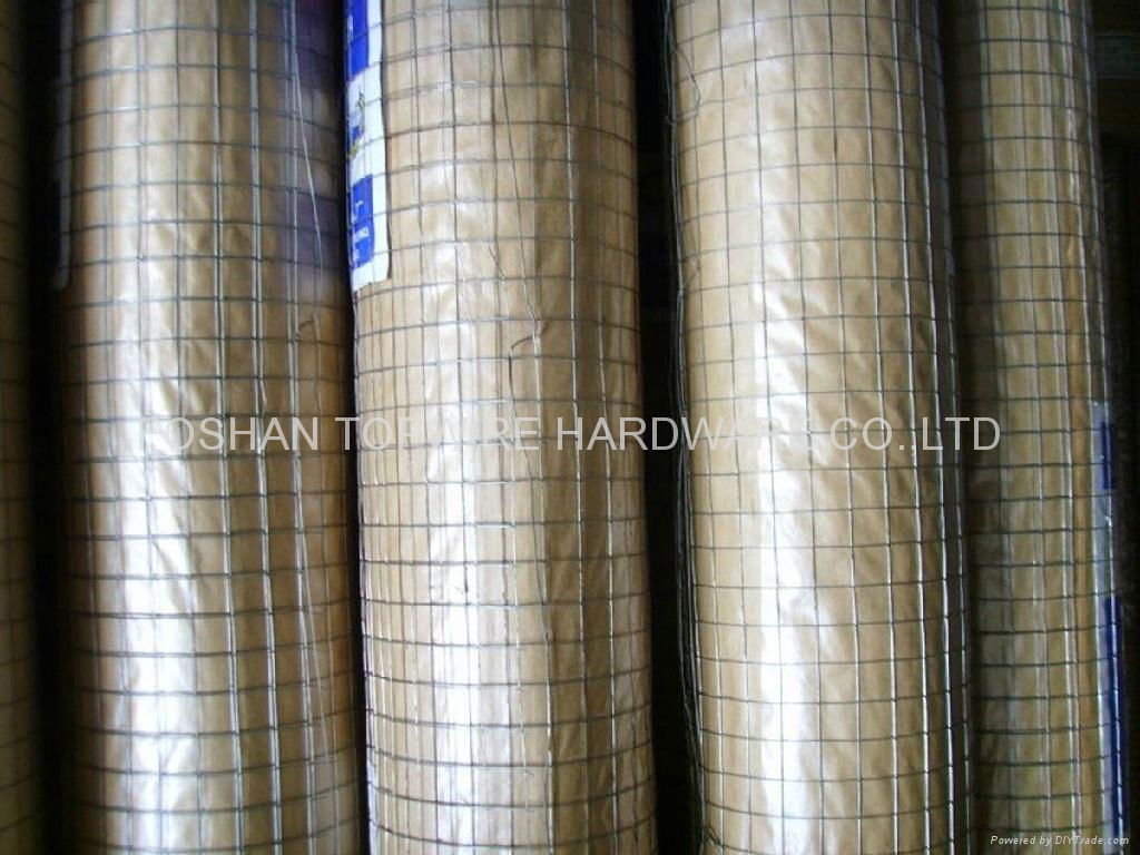 Galvanized welded wire mesh roll 2