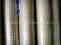 Galvanized welded wire mesh roll 2