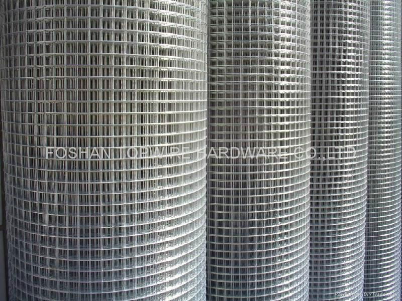 Galvanized welded wire mesh roll 5