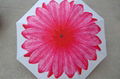 Beautiful Lady Flower Sun 3 Folding