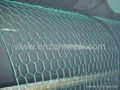 Hex Netting Wire Mesh