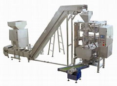 Automatic jujube class vacuum packaging machine