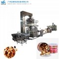 Food nut granule quantitative filling machine 3