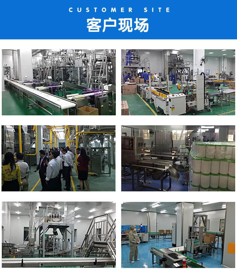 Automatic powder packaging machine 4