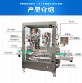 Powder filling machine 2