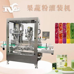 Powder filling machine