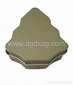 Irregular Shape Tin