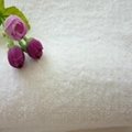 厂家直销酒店宾馆一次性消费品针织毛巾