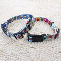 New arrival wholesale custom heat transfer printed polyester dog collar 1