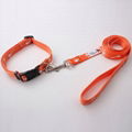 Professional Wholesale Nylon Dog Collar