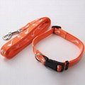 Professional Wholesale Nylon Dog Collar Leash