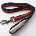 Professional Factory Direct Sale Custom Elastic Dog Leash 1