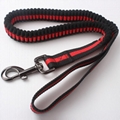 Professional Factory Direct Sale Custom Elastic Dog Leash