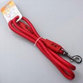 Eco-friendly nylon round rope dog leash 4