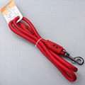 Eco-friendly nylon round rope dog leash