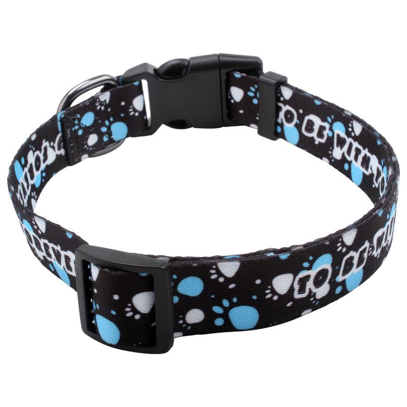 2.0cm polyester sublimation dog collars and leashes 5
