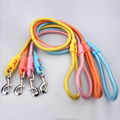 Eco-friendly nylon round rope dog leash