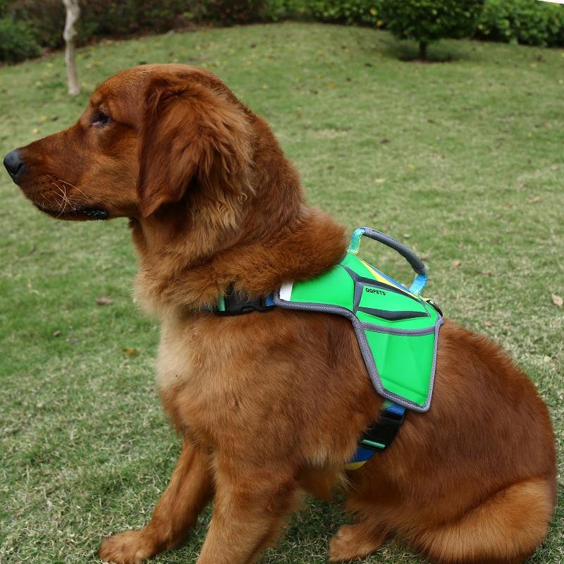 Guangzhou QQPETS factory new design pet harness
