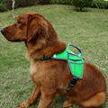 Guangzhou QQPETS factory new design pet harness