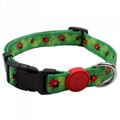 New Style Eco-Friendly Design Custom Personalized Dog Collars