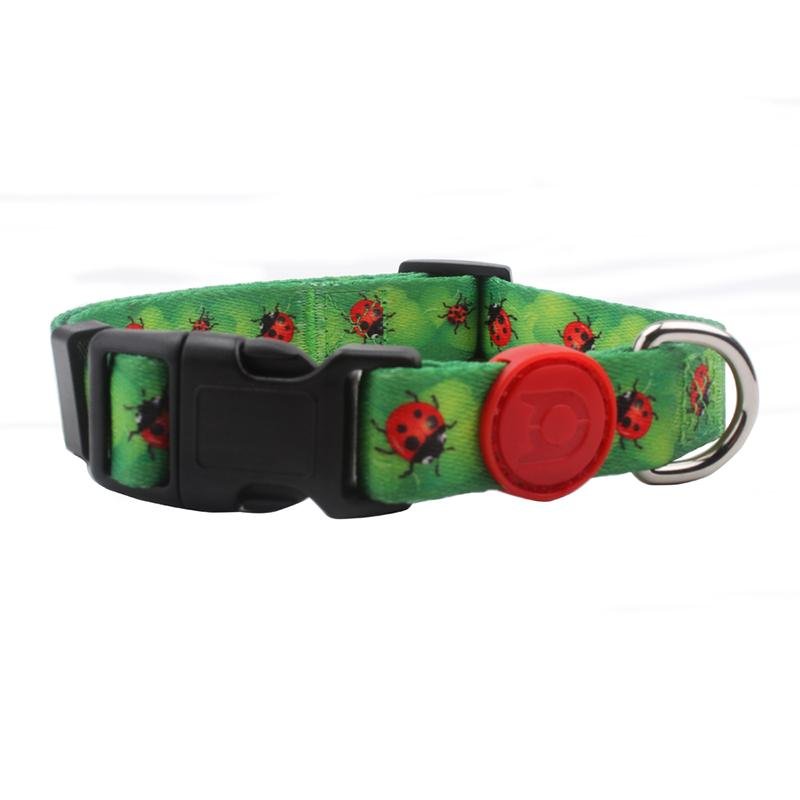 New Style Eco-Friendly Design Custom Personalized Dog Collars 2