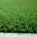 Golf artificial grass