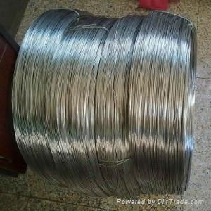 Hastelloy wire